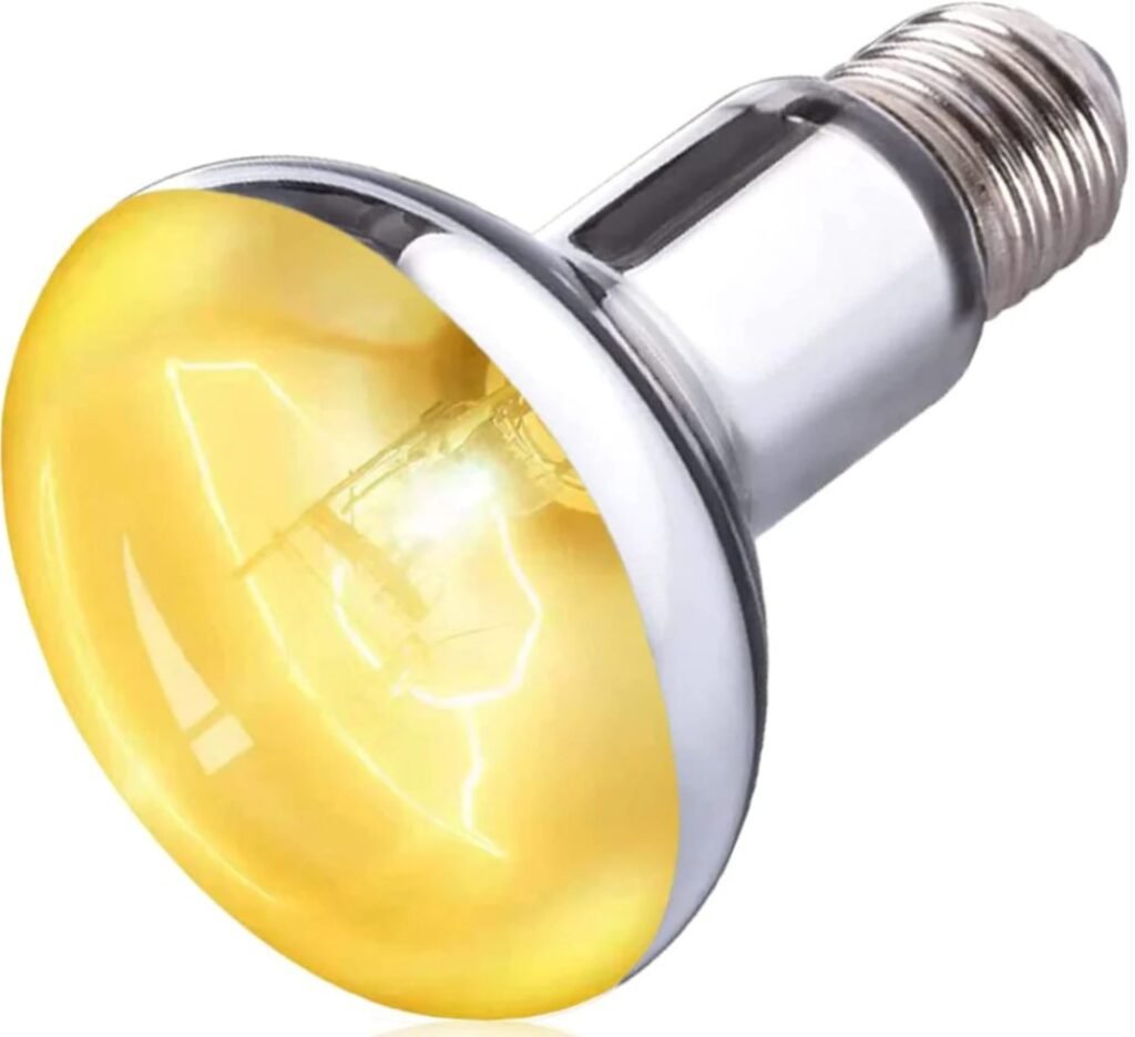 Photo of UVA/UVB Bulb on white background.